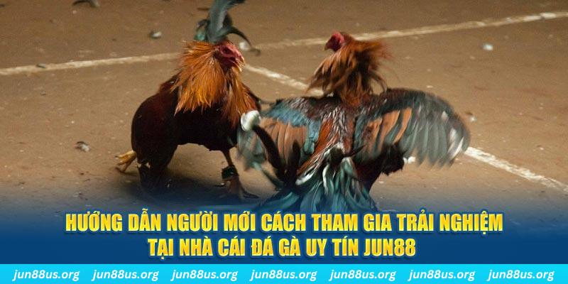 luky88 loi game dot kich ket noi may chu that bai