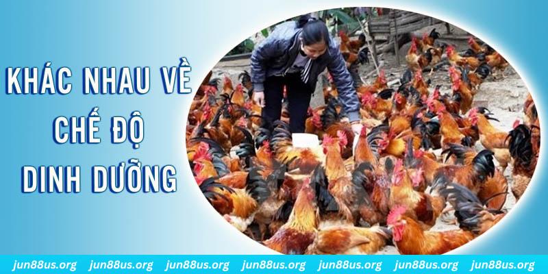 luky88 xổ số miền nam thứ năm hàng tuần