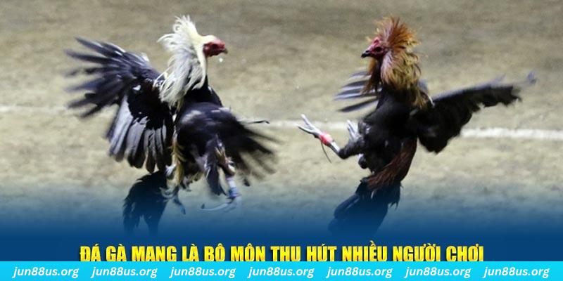 luky88 tại sao tải game bài sunwin không được