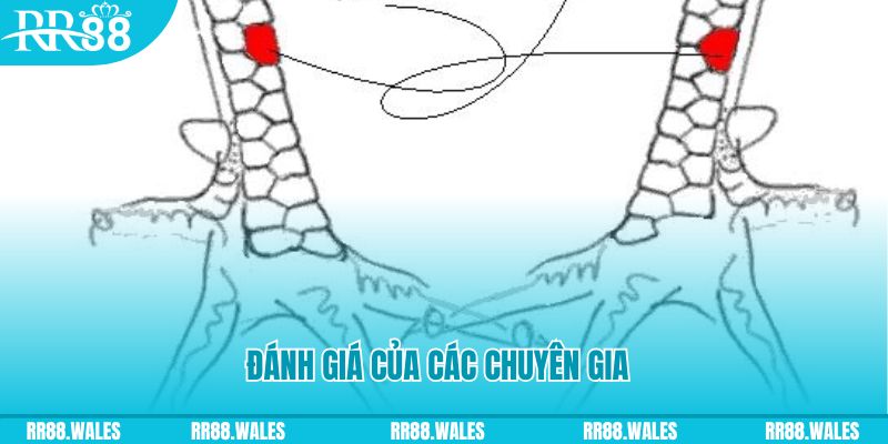 luky88 V8 Game Bài 3d