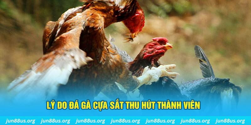 luky88 chiếm slot là gì