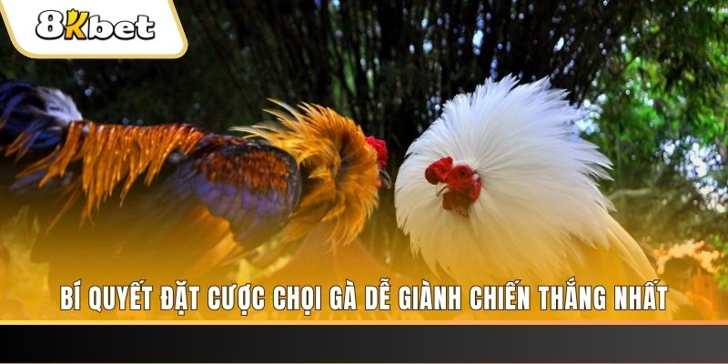 luky88 xổ số thứ hai hàng tuần