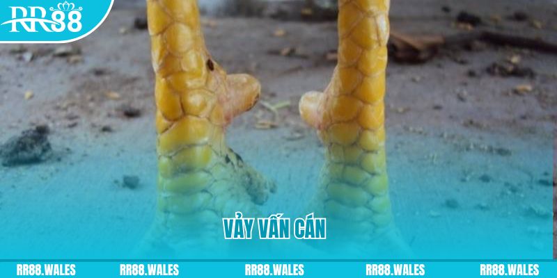 luky88 đăng nhập nổ hũ hôm nay