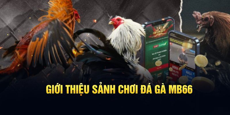 luky88 đăng nhập poker hôm nay