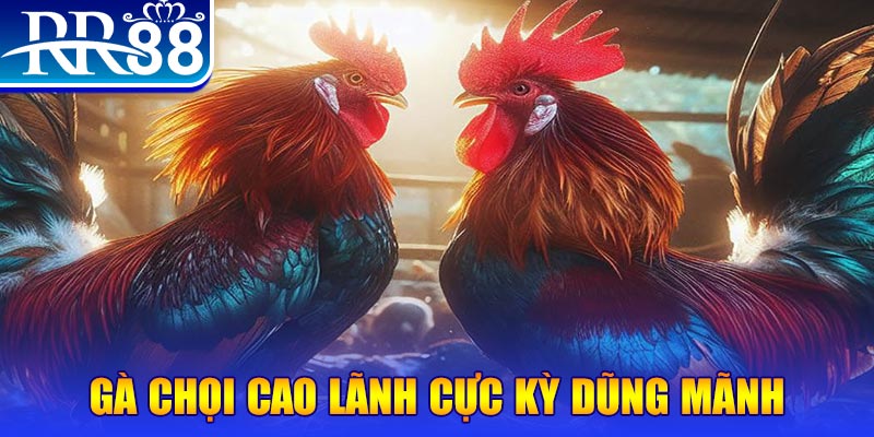 luky88 ILOVEU Bắn cá